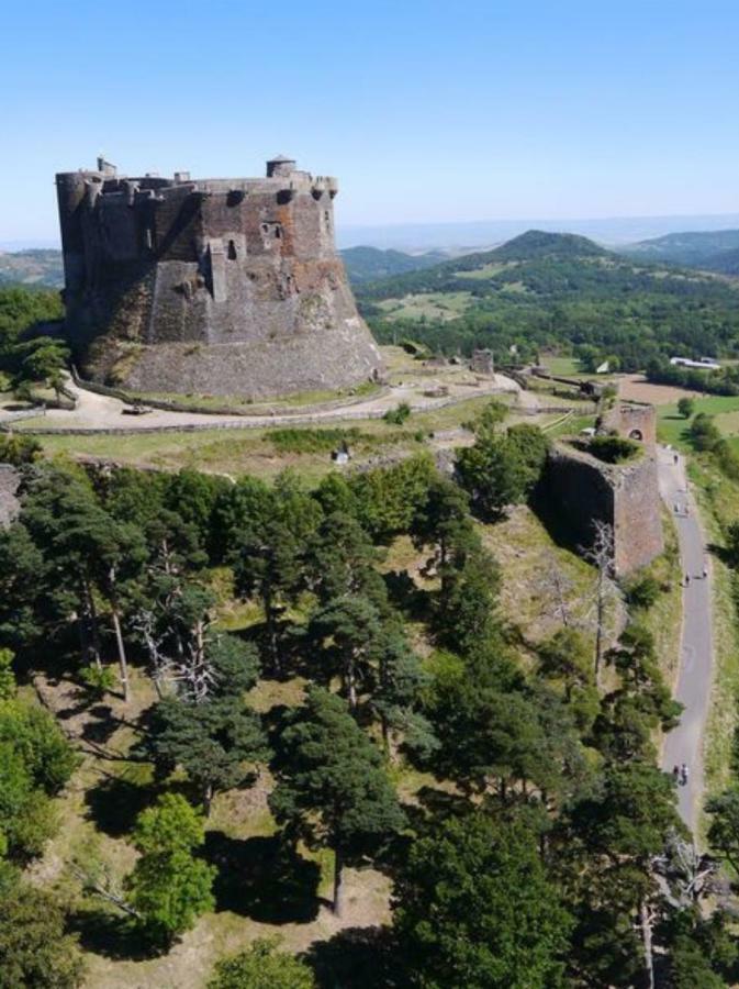 Les Terrasses Du Chateau De Murol - Studio 4P Au Pied Du Chateau De Murol Luaran gambar